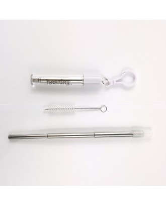Collapsible Stainless Steel Straw Kit